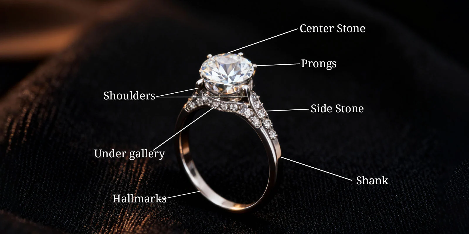 Ring anatomy detail